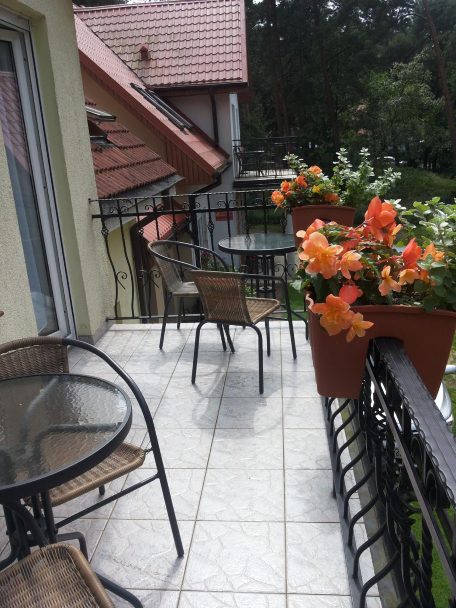 Homestay Muszla *